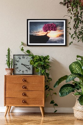 Quadro de musgo Uma árvore sobre um precipício