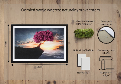 Quadro de musgo Uma árvore sobre um precipício