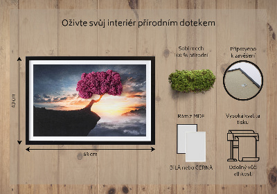 Quadro de musgo Uma árvore sobre um precipício