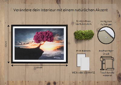 Quadro de musgo Uma árvore sobre um precipício