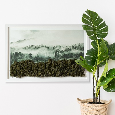 Quadro de musgo natural Floresta no nevoeiro