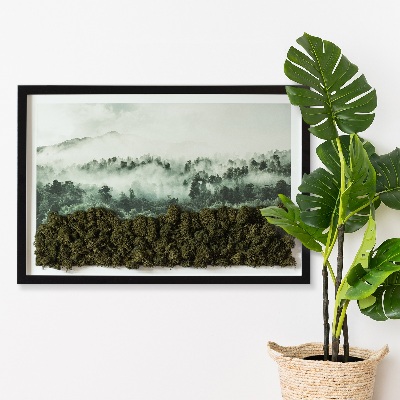 Quadro de musgo natural Floresta no nevoeiro