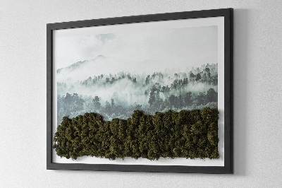 Quadro de musgo natural Floresta no nevoeiro