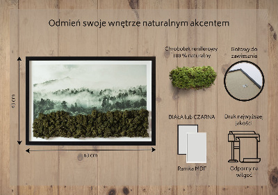 Quadro de musgo natural Floresta no nevoeiro