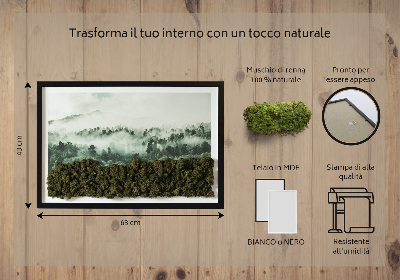 Quadro de musgo natural Floresta no nevoeiro