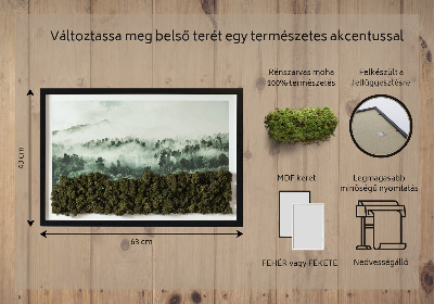 Quadro de musgo natural Floresta no nevoeiro