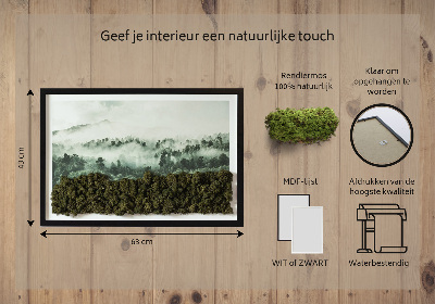 Quadro de musgo natural Floresta no nevoeiro