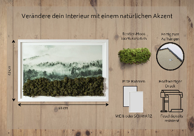 Quadro de musgo natural Floresta no nevoeiro