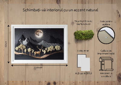 Decoração com musgo Veados durante a lua cheia