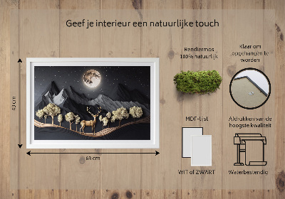 Decoração com musgo Veados durante a lua cheia