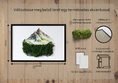 Decoração com musgo O topo da montanha acima da floresta