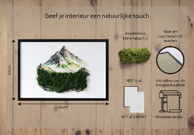 Decoração com musgo O topo da montanha acima da floresta