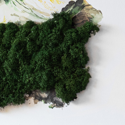 Decoração com musgo O topo da montanha acima da floresta