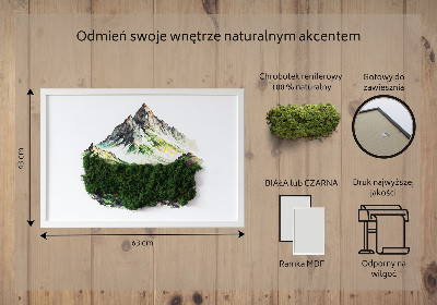 Decoração com musgo O topo da montanha acima da floresta