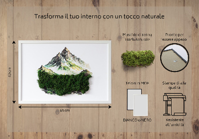 Decoração com musgo O topo da montanha acima da floresta