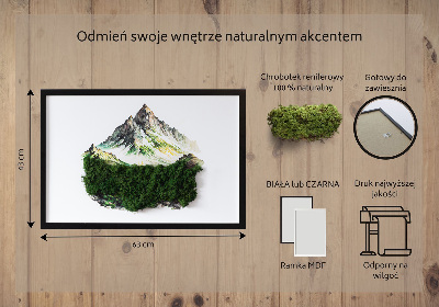 Decoração com musgo O topo da montanha acima da floresta