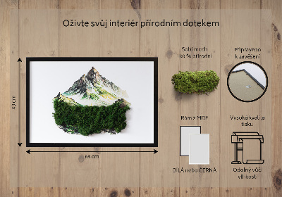 Decoração com musgo O topo da montanha acima da floresta