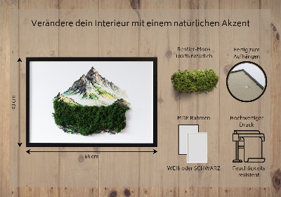 Decoração com musgo O topo da montanha acima da floresta