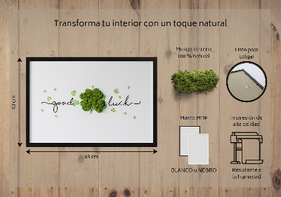 Quadro de musgo Inscrição de trevo de boa sorte