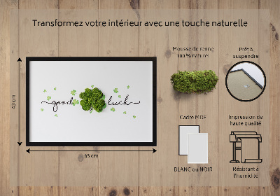 Quadro de musgo Inscrição de trevo de boa sorte