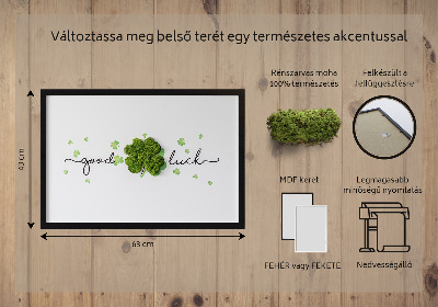 Quadro de musgo Inscrição de trevo de boa sorte