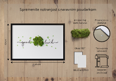 Quadro de musgo Inscrição de trevo de boa sorte