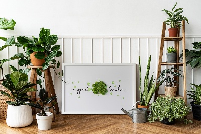 Quadro de musgo Inscrição de trevo de boa sorte