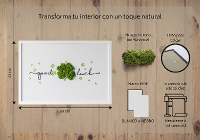 Quadro de musgo Inscrição de trevo de boa sorte