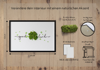 Quadro de musgo Inscrição de trevo de boa sorte