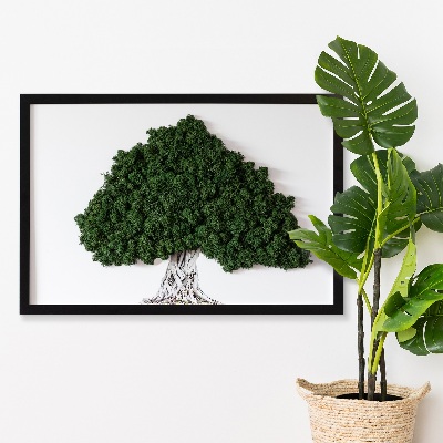 Quadro com musgo Árvore com raízes em um fundo branco