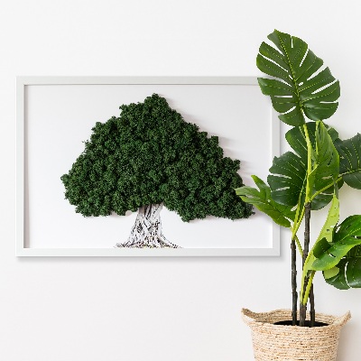 Quadro com musgo Árvore com raízes em um fundo branco