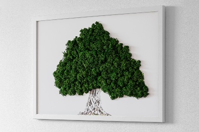 Quadro com musgo Árvore com raízes em um fundo branco