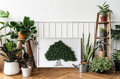 Quadro com musgo Árvore com raízes em um fundo branco