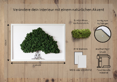 Quadro com musgo Árvore com raízes em um fundo branco