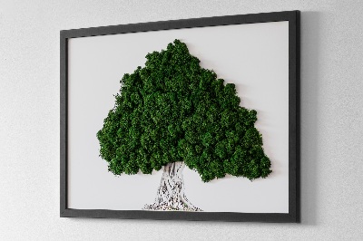 Quadro com musgo Árvore com raízes em um fundo branco