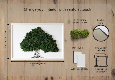 Quadro com musgo Árvore com raízes em um fundo branco