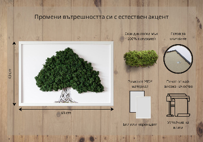 Quadro com musgo Árvore com raízes em um fundo branco