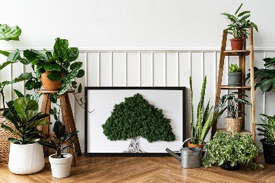 Quadro com musgo Árvore com raízes em um fundo branco