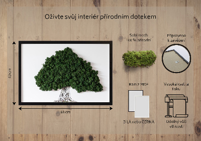 Quadro com musgo Árvore com raízes em um fundo branco