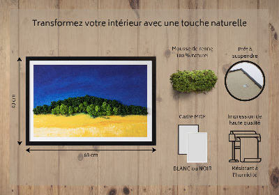 Decoração com musgo Paisagem azul e amarela
