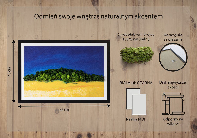 Decoração com musgo Paisagem azul e amarela