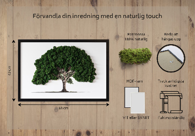 Decoração com musgo Árvore em um fundo branco