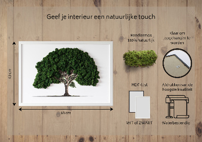 Decoração com musgo Árvore em um fundo branco