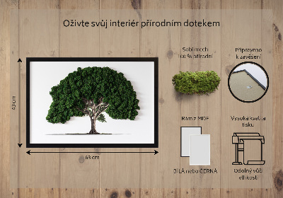 Decoração com musgo Árvore em um fundo branco