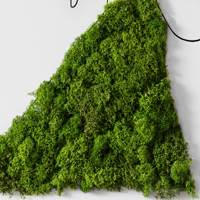 Quadro de musgo natural Casal dançando