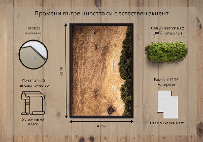 Quadro de musgo Tábua de carvalho natural