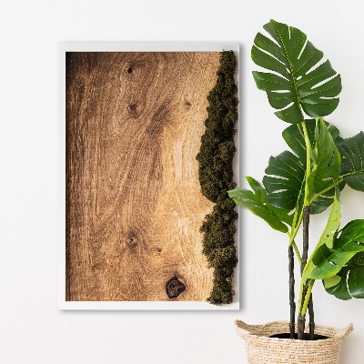 Quadro de musgo Tábua de carvalho natural