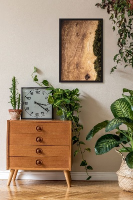 Quadro de musgo Tábua de carvalho natural