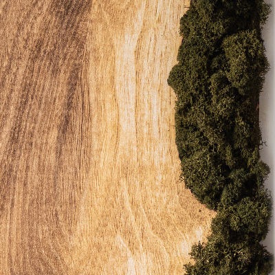 Quadro de musgo Tábua de carvalho natural