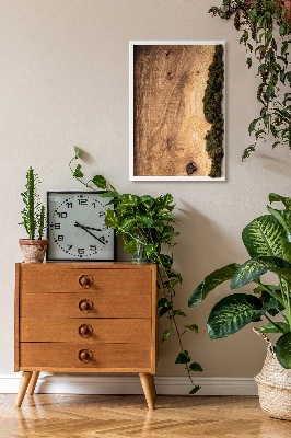 Quadro de musgo Tábua de carvalho natural